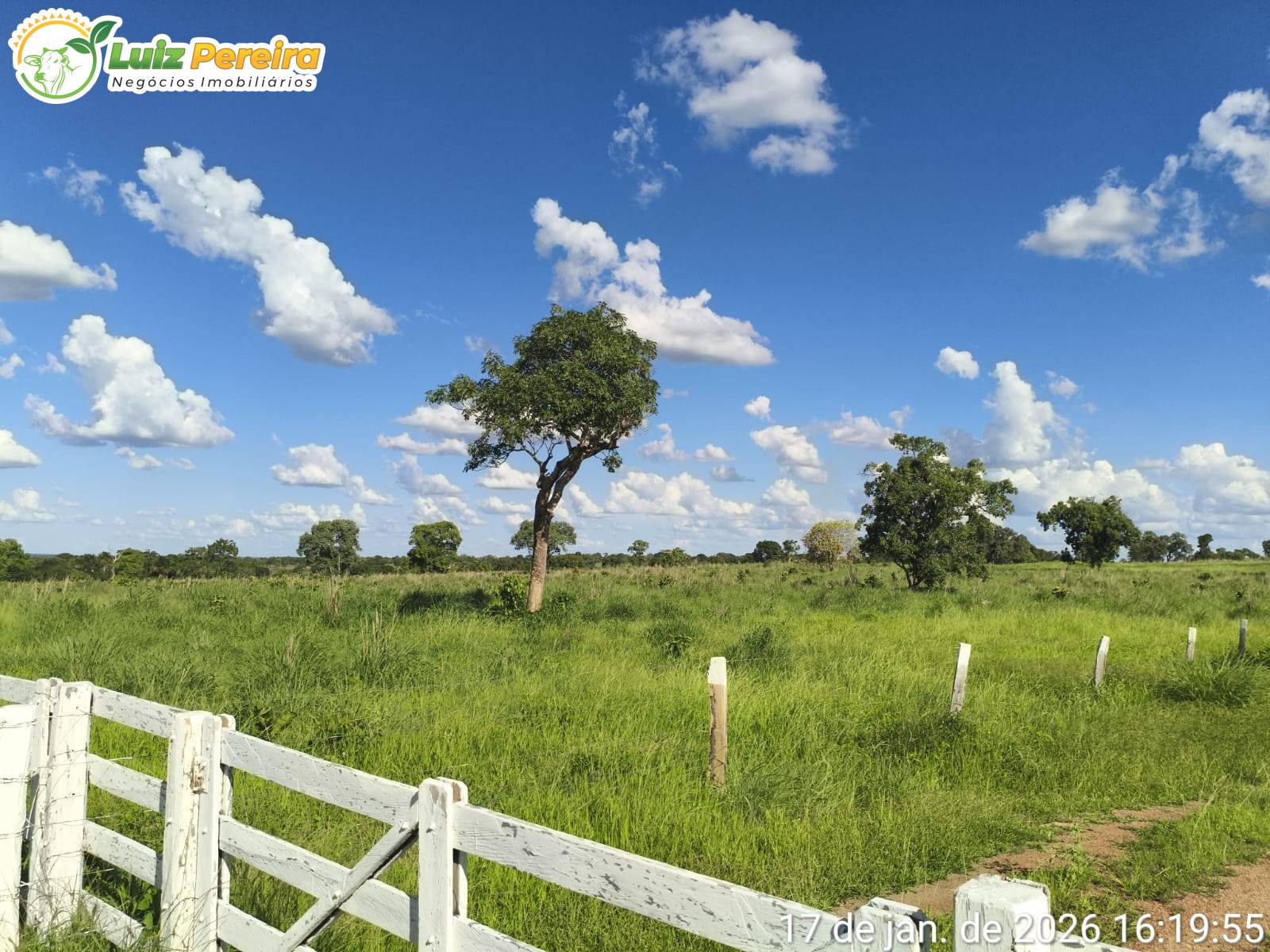 Terreno, 2439 m² - Foto 4