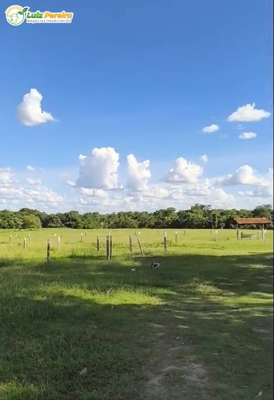 Terreno, 2439 m² - Foto 2