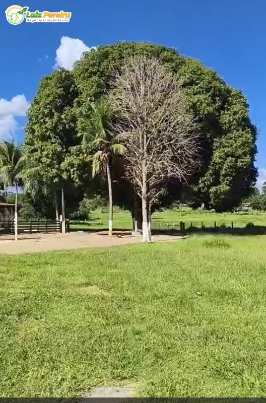 Terreno, 2439 m² - Foto 3