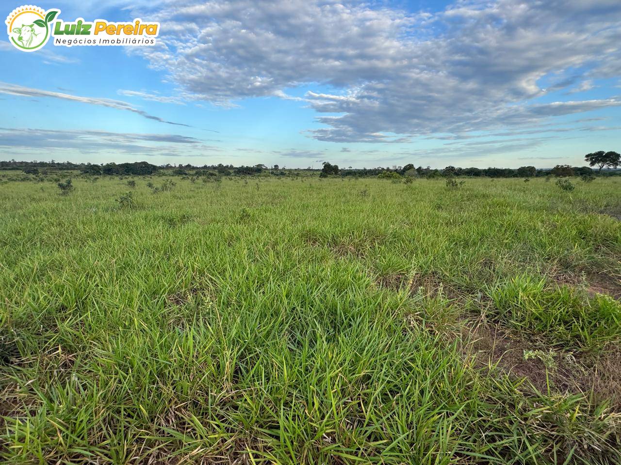 Terreno, 3891 m² - Foto 2