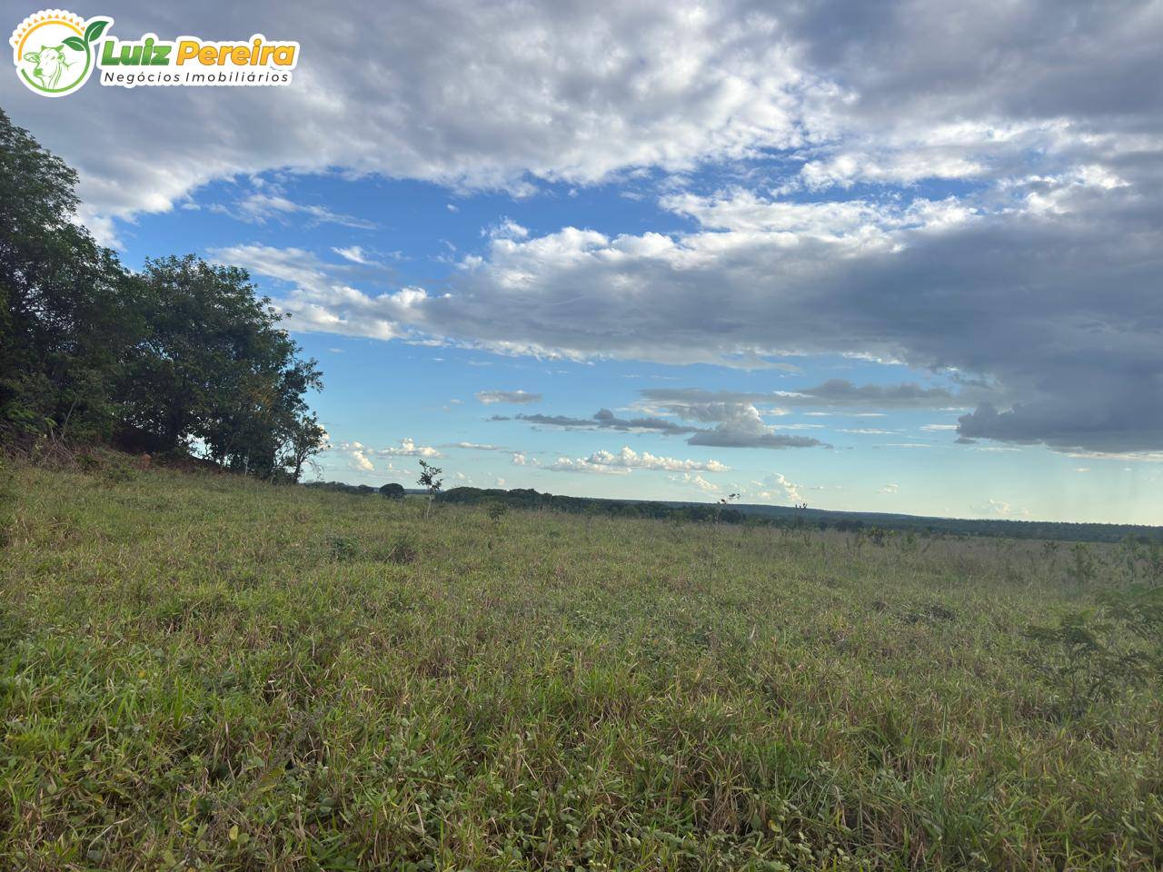 Terreno, 3891 m² - Foto 1