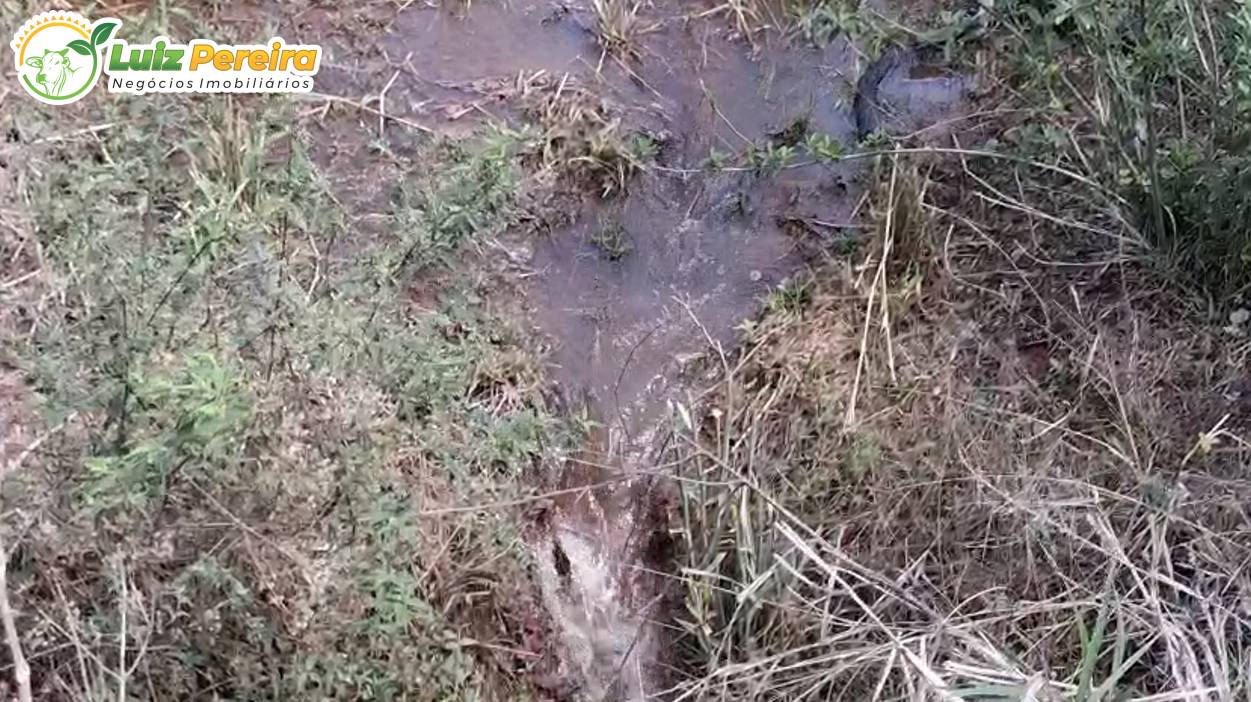 Terreno, 1700 m² - Foto 4