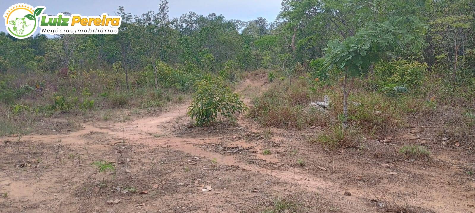 Terreno, 653 m² - Foto 5