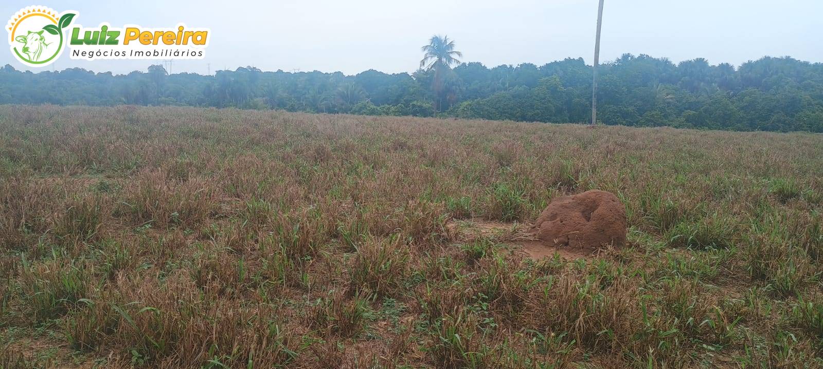 Terreno, 653 m² - Foto 2