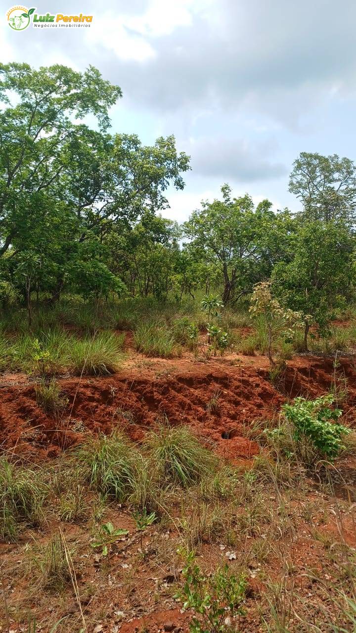 Terreno, 653 m² - Foto 6