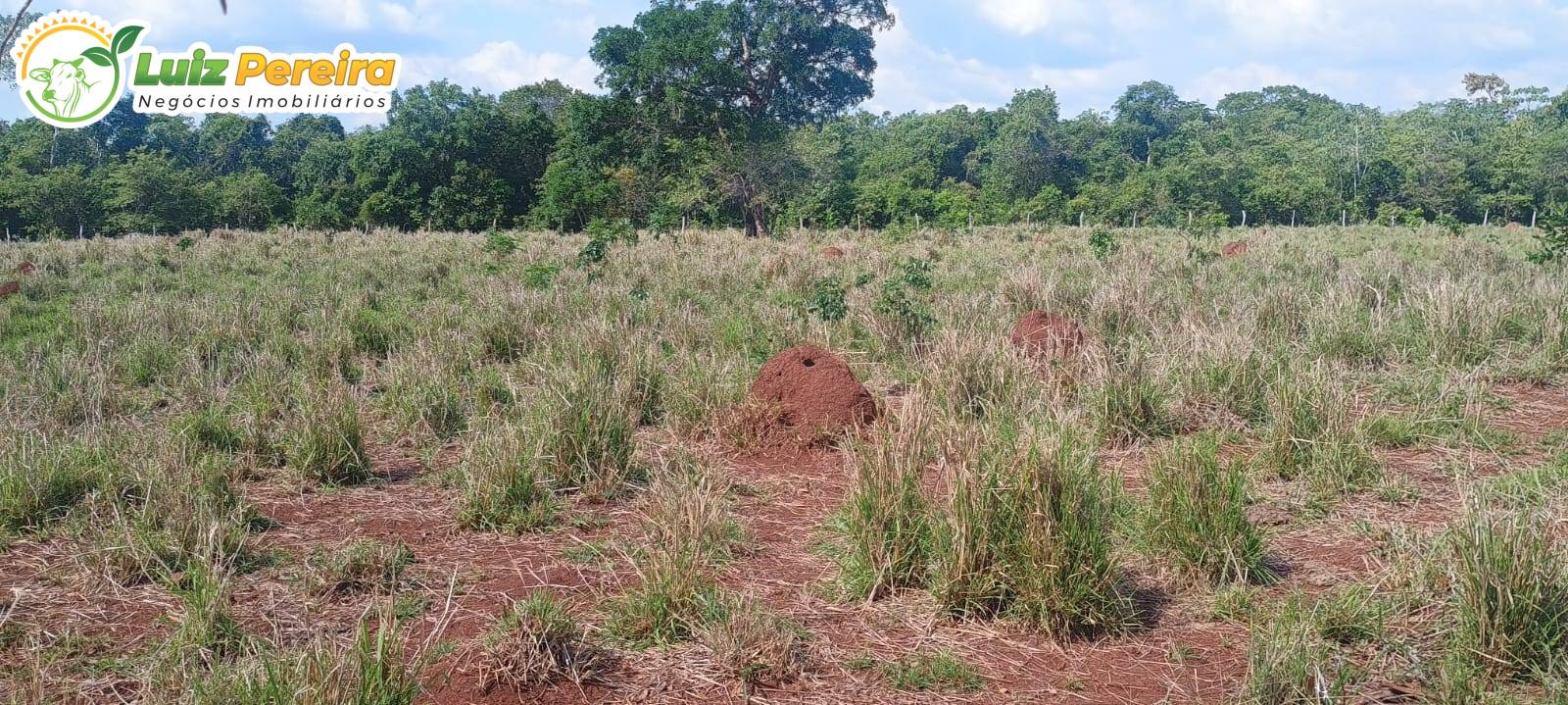 Terreno, 653 m² - Foto 4