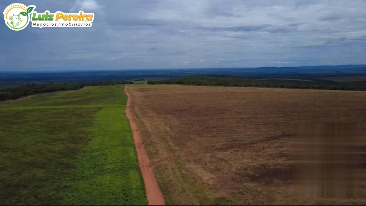 Terreno, 2300 m² - Foto 5