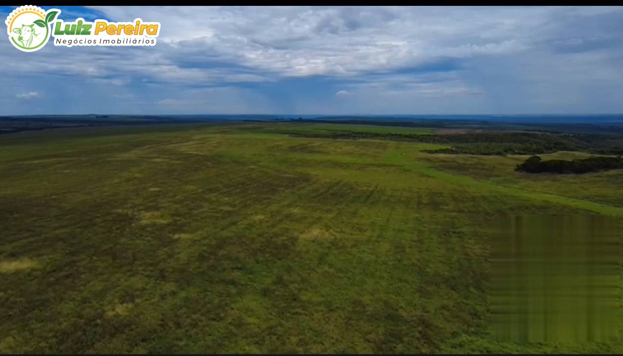 Terreno, 2300 m² - Foto 2