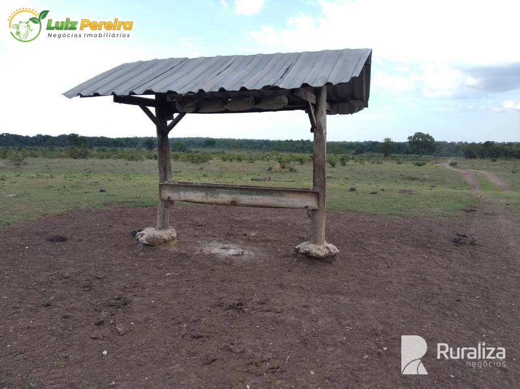 Terreno, 3160 m² - Foto 5