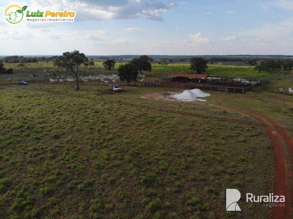 Terreno, 3160 m² - Foto 2