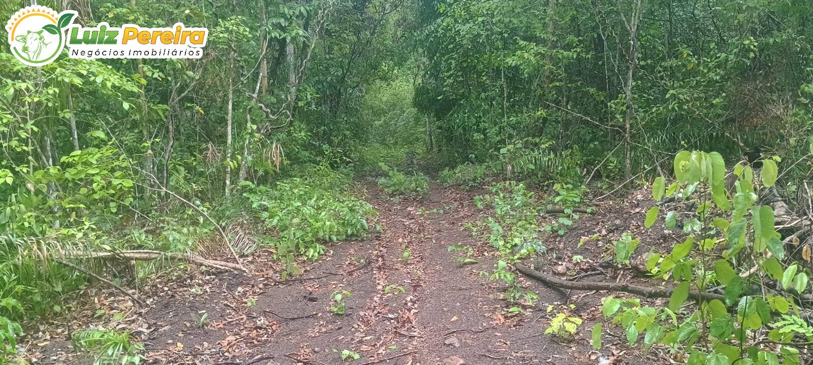 Terreno, 886 m² - Foto 3