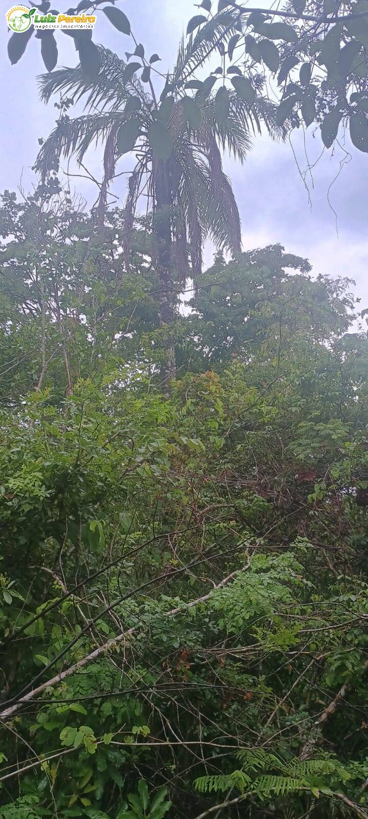 Terreno, 886 m² - Foto 4