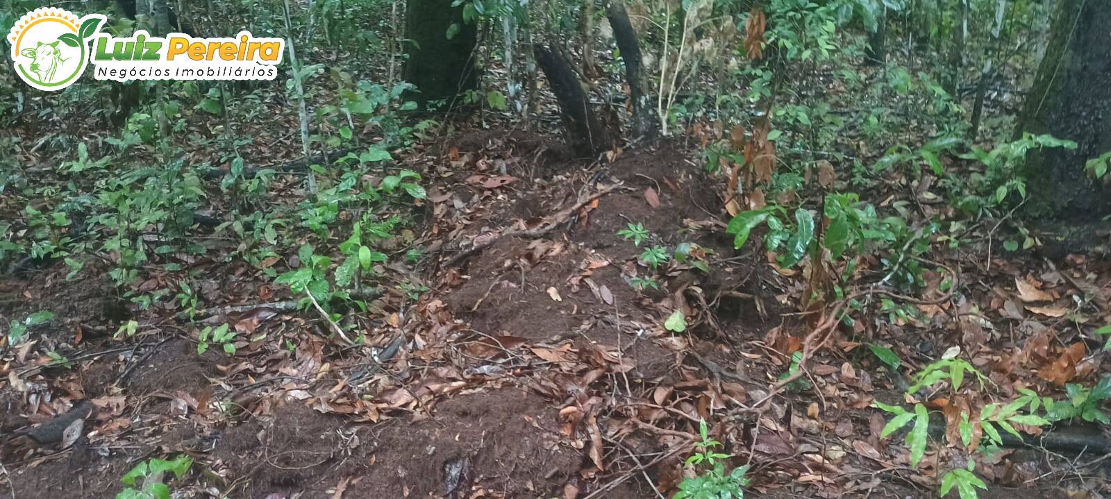 Terreno, 886 m² - Foto 5