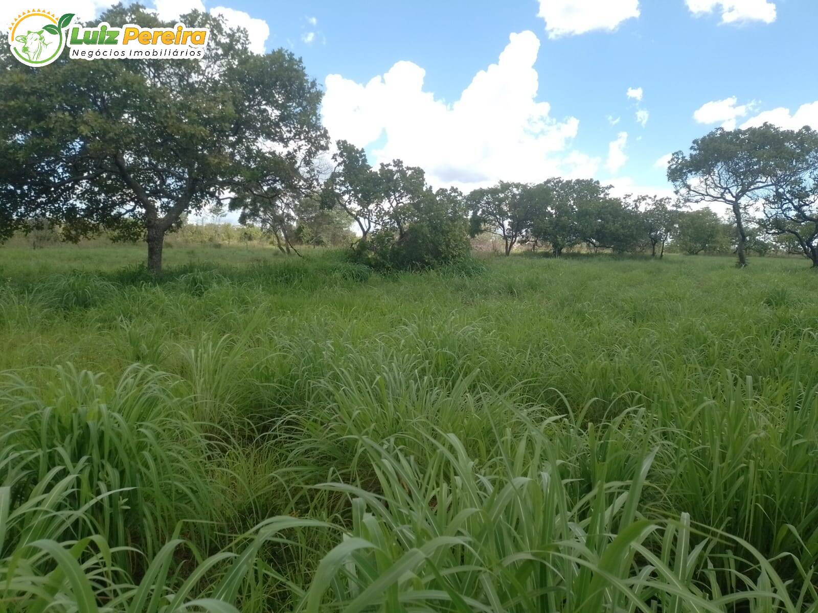 Terreno, 2904 m² - Foto 1