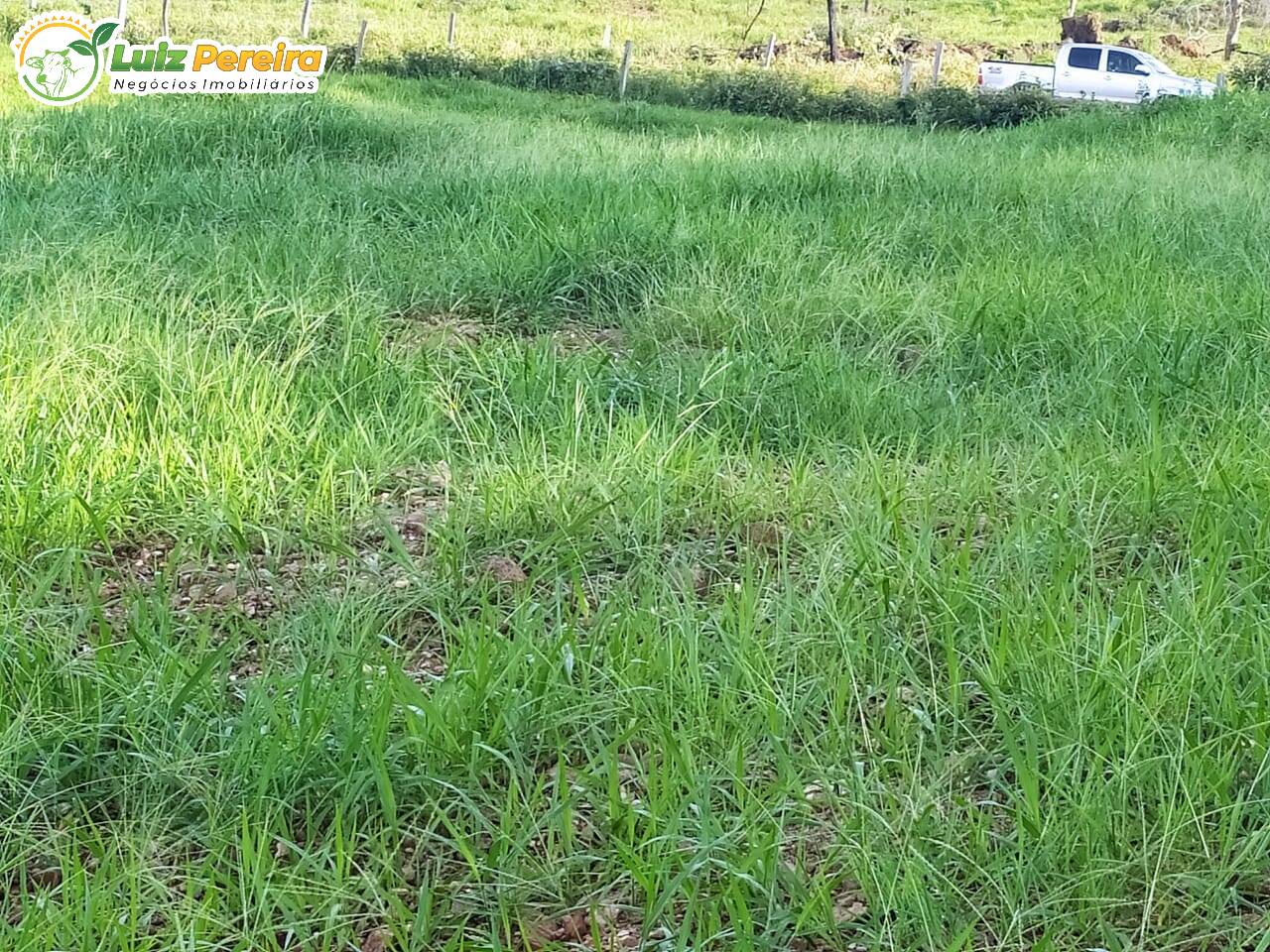 Terreno, 1118 m² - Foto 13
