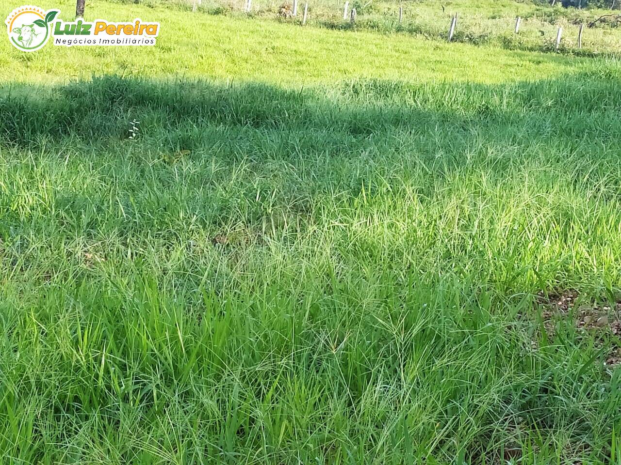 Terreno, 1118 m² - Foto 15