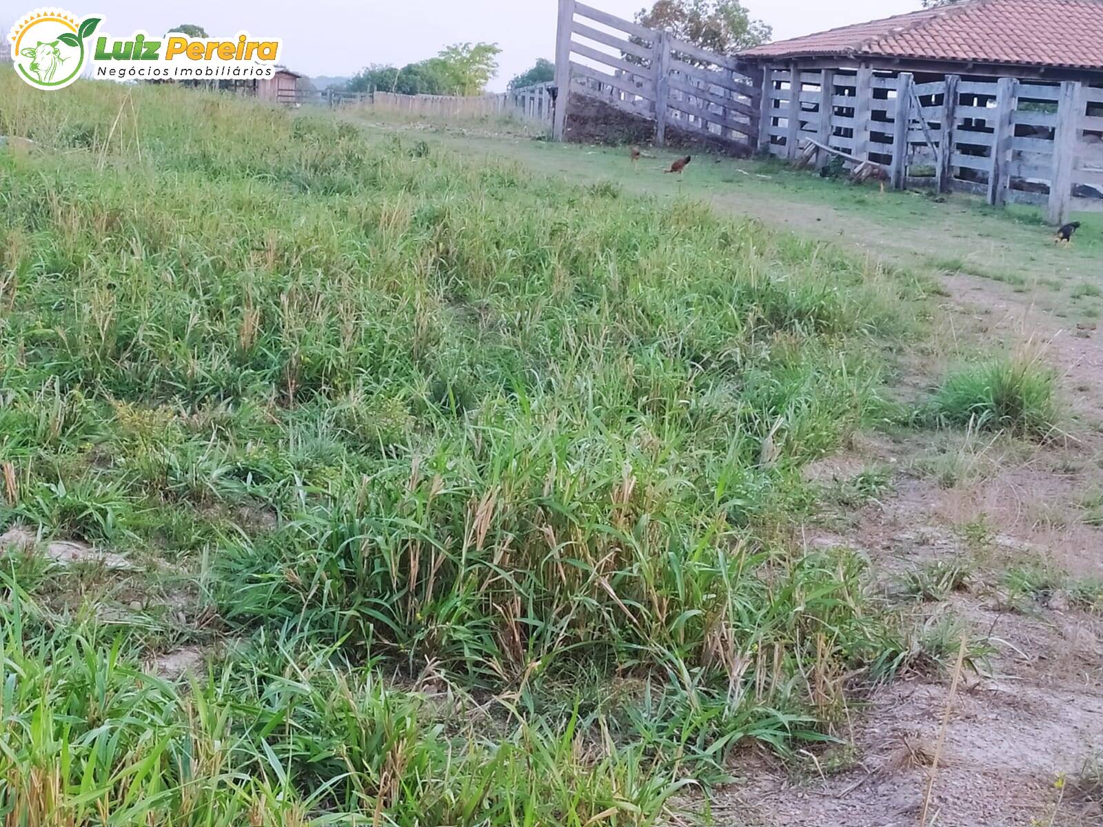 Terreno, 1118 m² - Foto 17