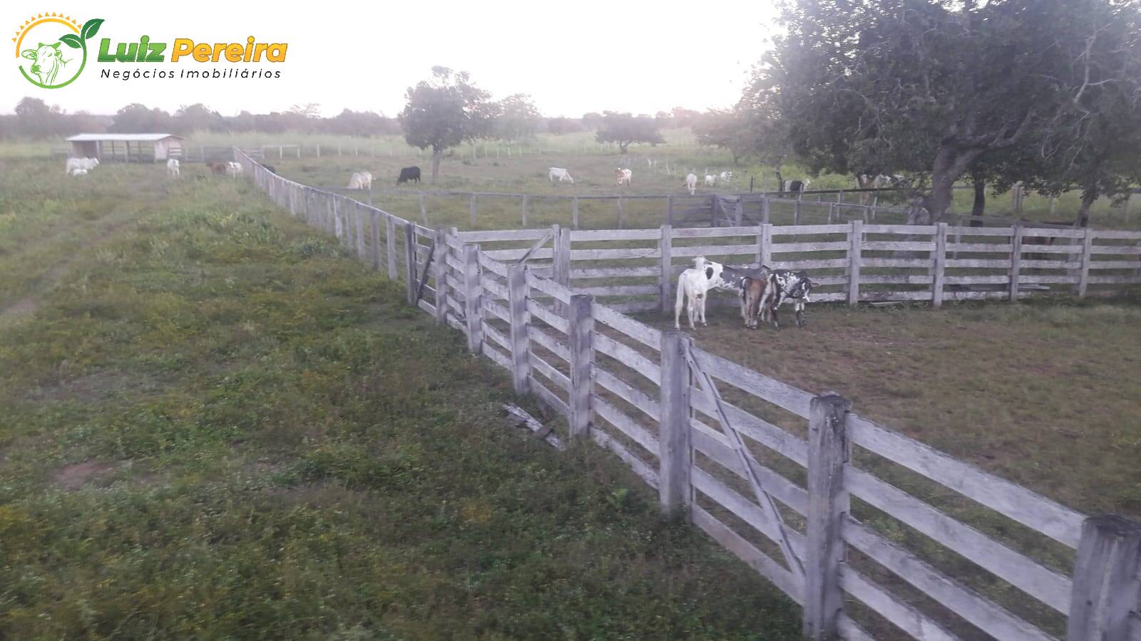Terreno, 1118 m² - Foto 25