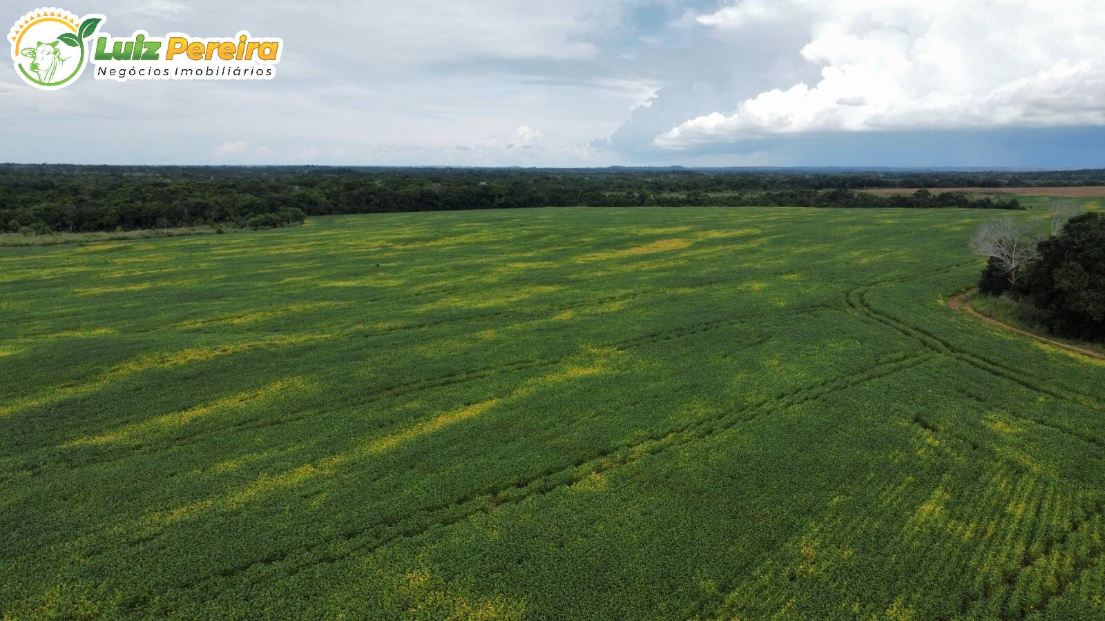 Terreno, 1118 m² - Foto 8