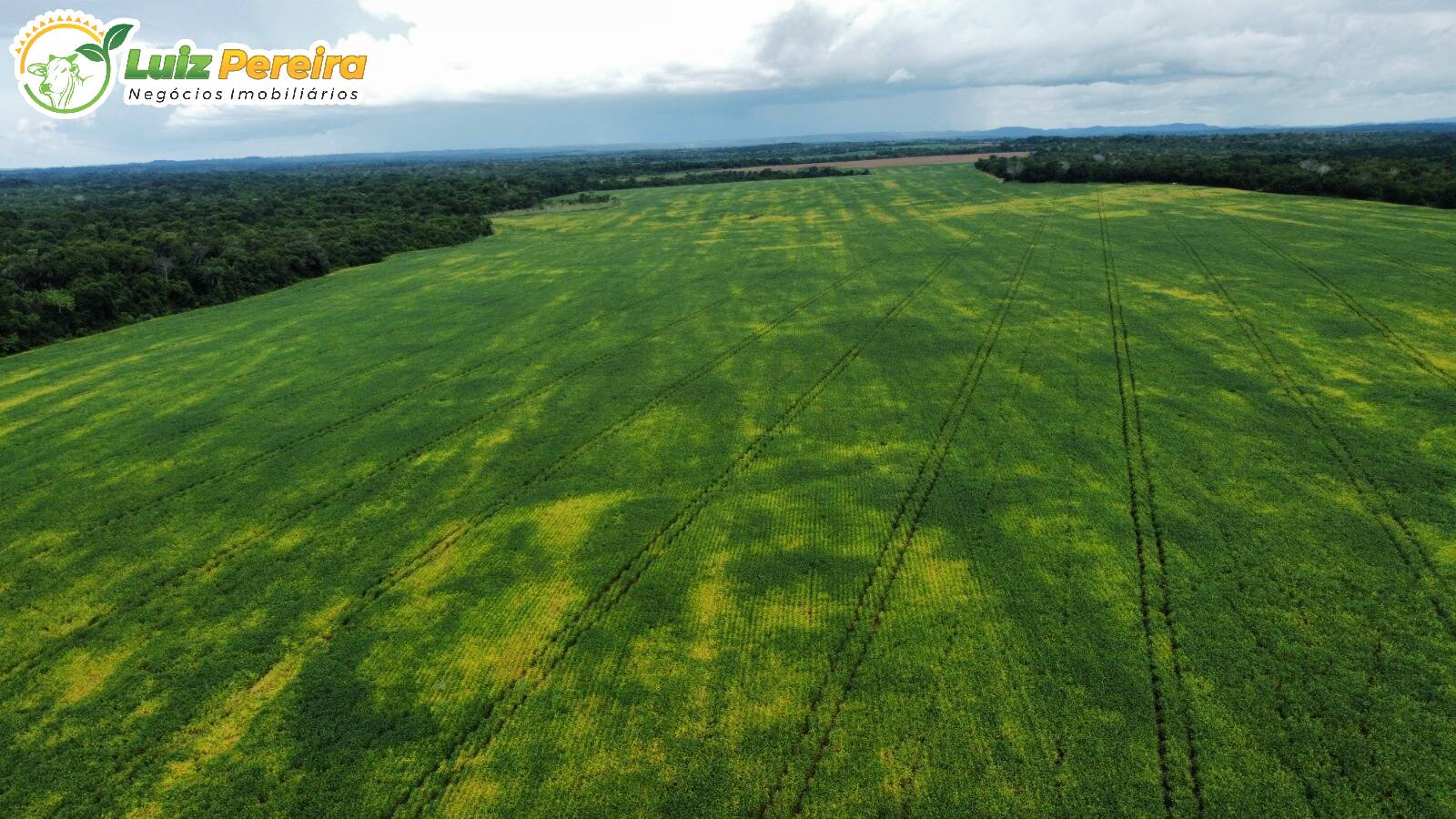 Terreno, 1118 m² - Foto 1