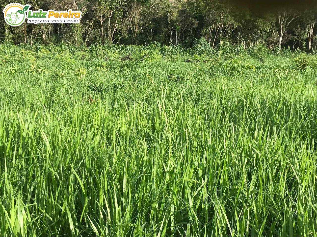 Terreno, 462 m² - Foto 11