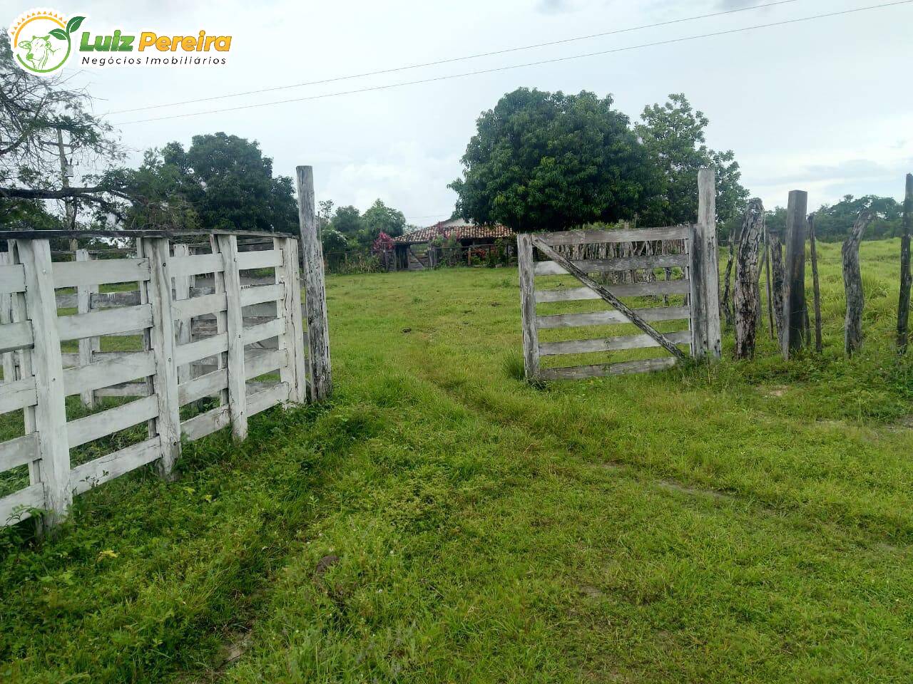 Terreno, 126 m² - Foto 1