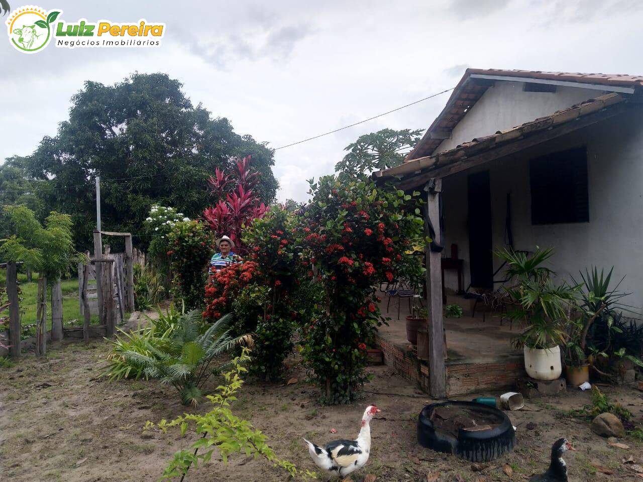 Terreno, 126 m² - Foto 15