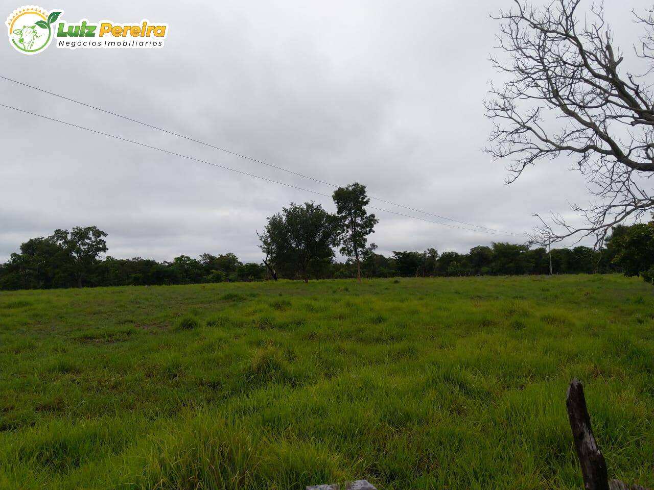 Terreno, 126 m² - Foto 6