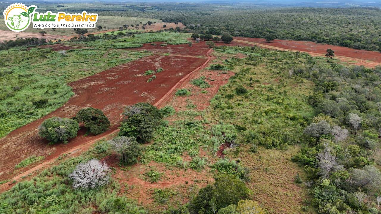 Terreno, 1055 m² - Foto 4
