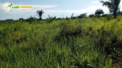 Terreno, 82 m² - Foto 4