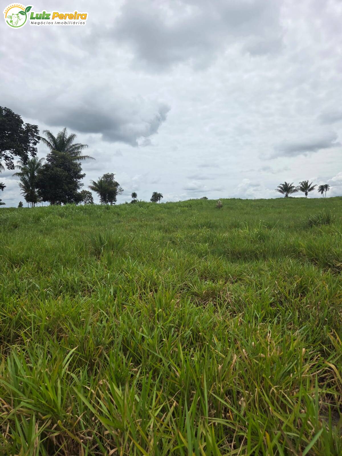 Terreno, 120 m² - Foto 5