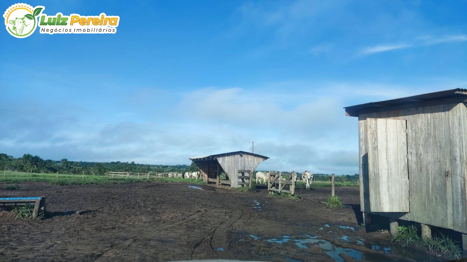 Terreno, 2432 m² - Foto 15