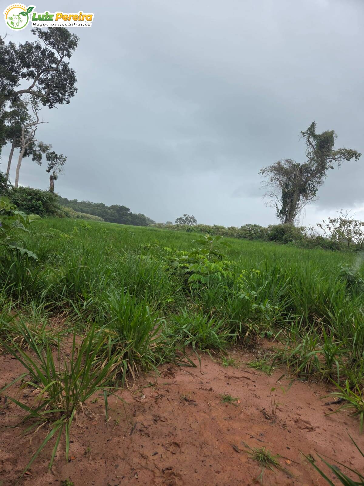 Terreno, 1000 m² - Foto 10