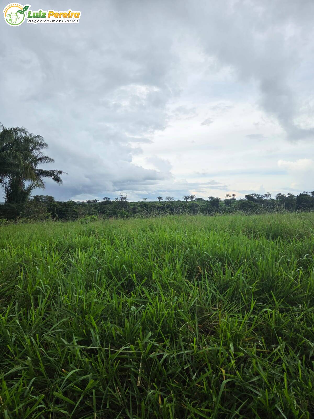 Terreno, 1000 m² - Foto 3
