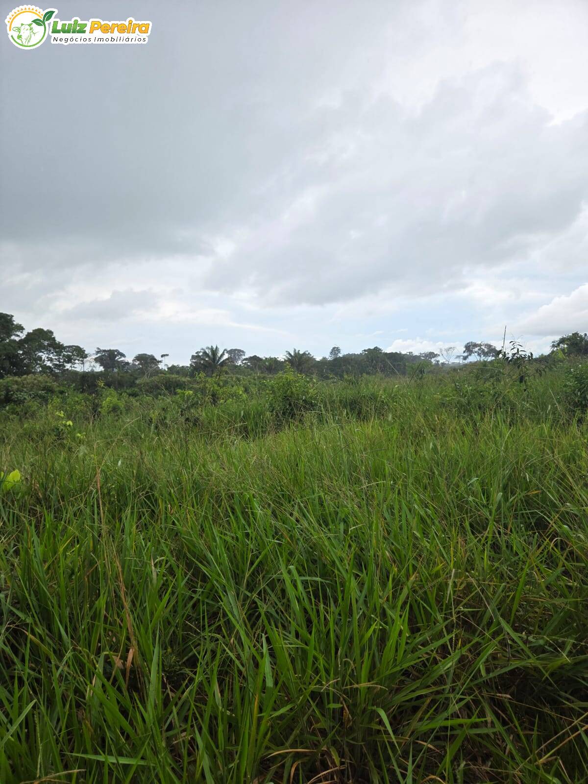 Terreno, 1000 m² - Foto 13