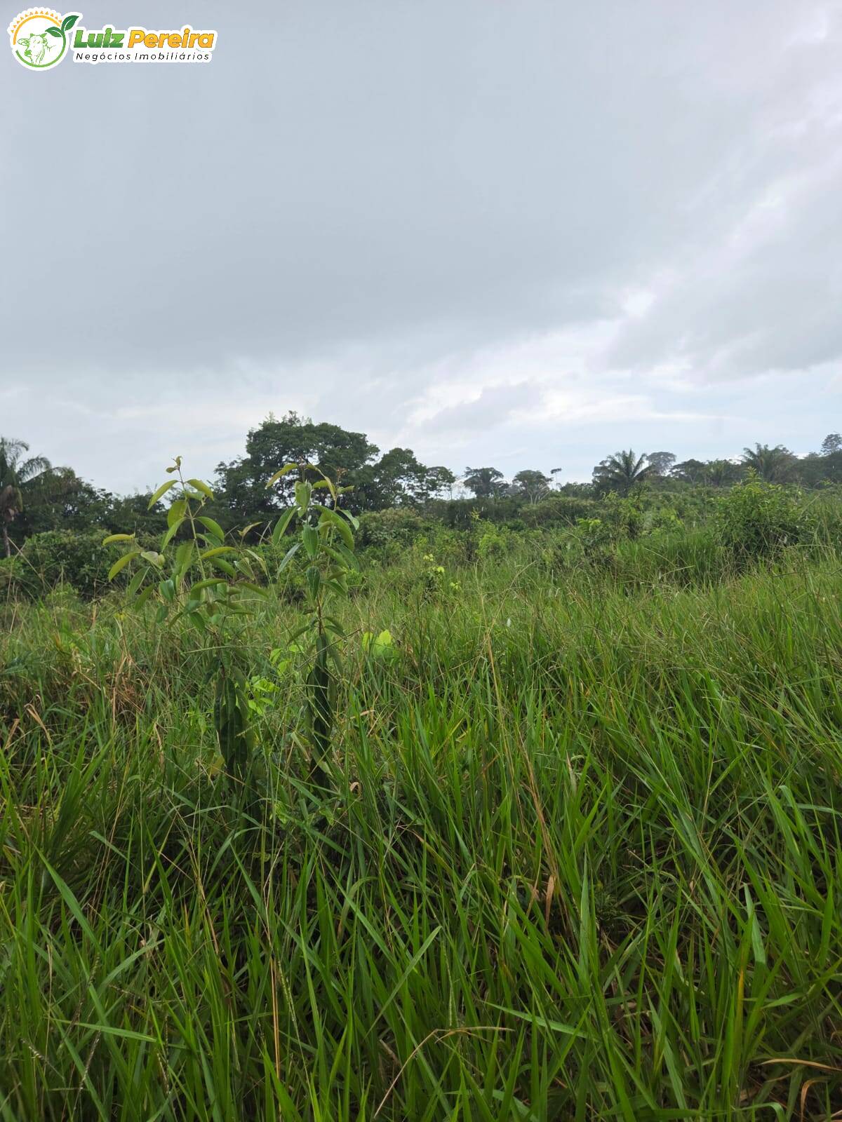 Terreno, 1000 m² - Foto 5
