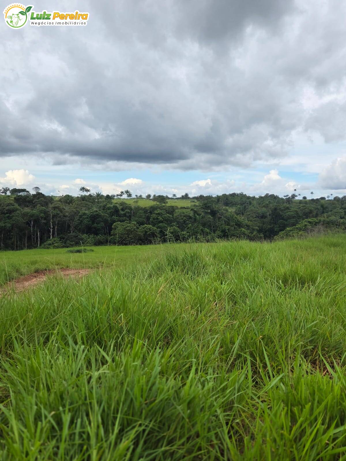 Terreno, 1000 m² - Foto 4