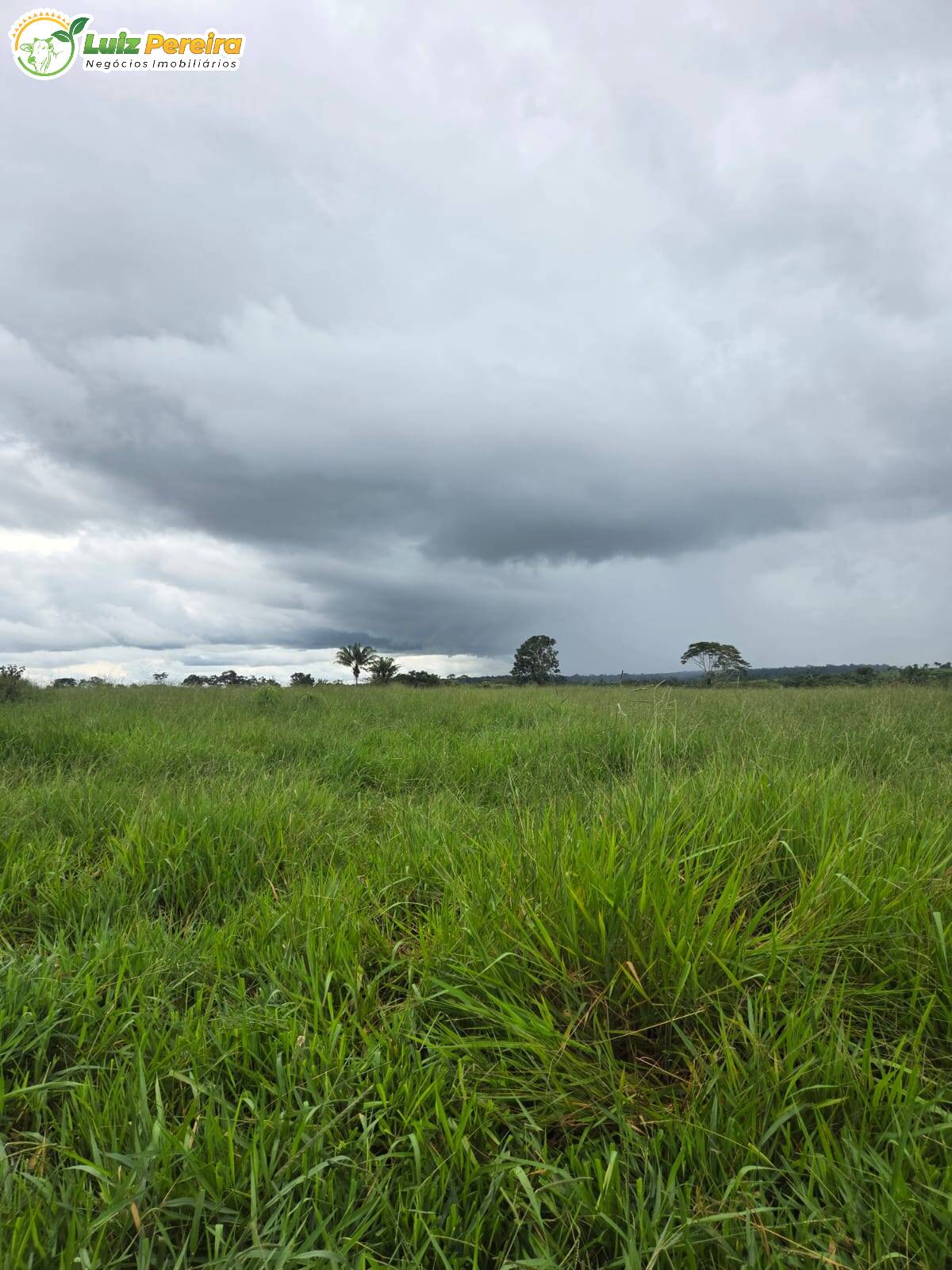 Terreno, 1000 m² - Foto 7