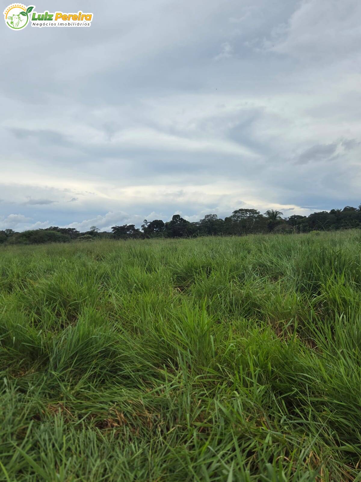 Terreno, 1000 m² - Foto 8
