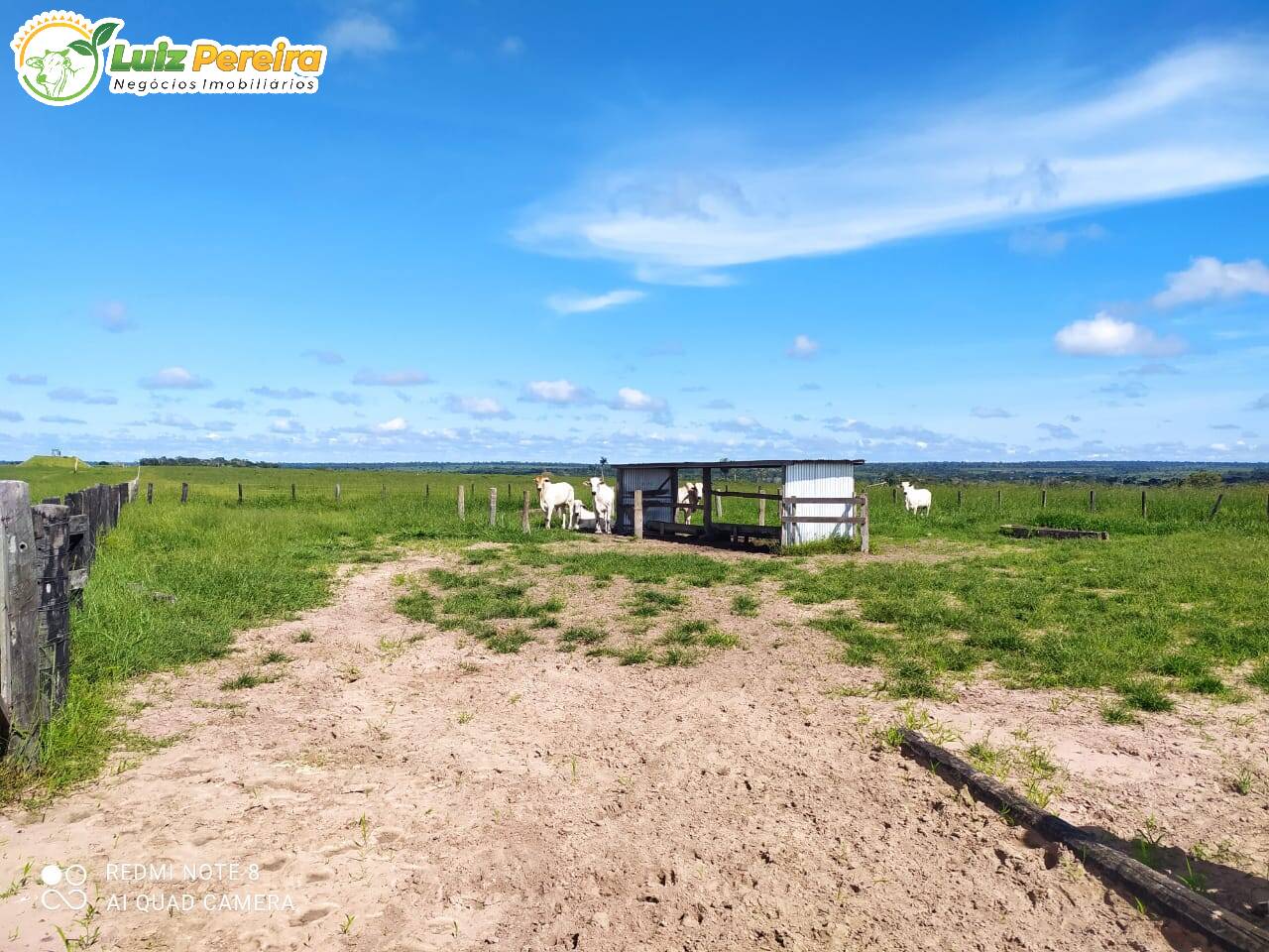 Terreno, 1000 m² - Foto 14