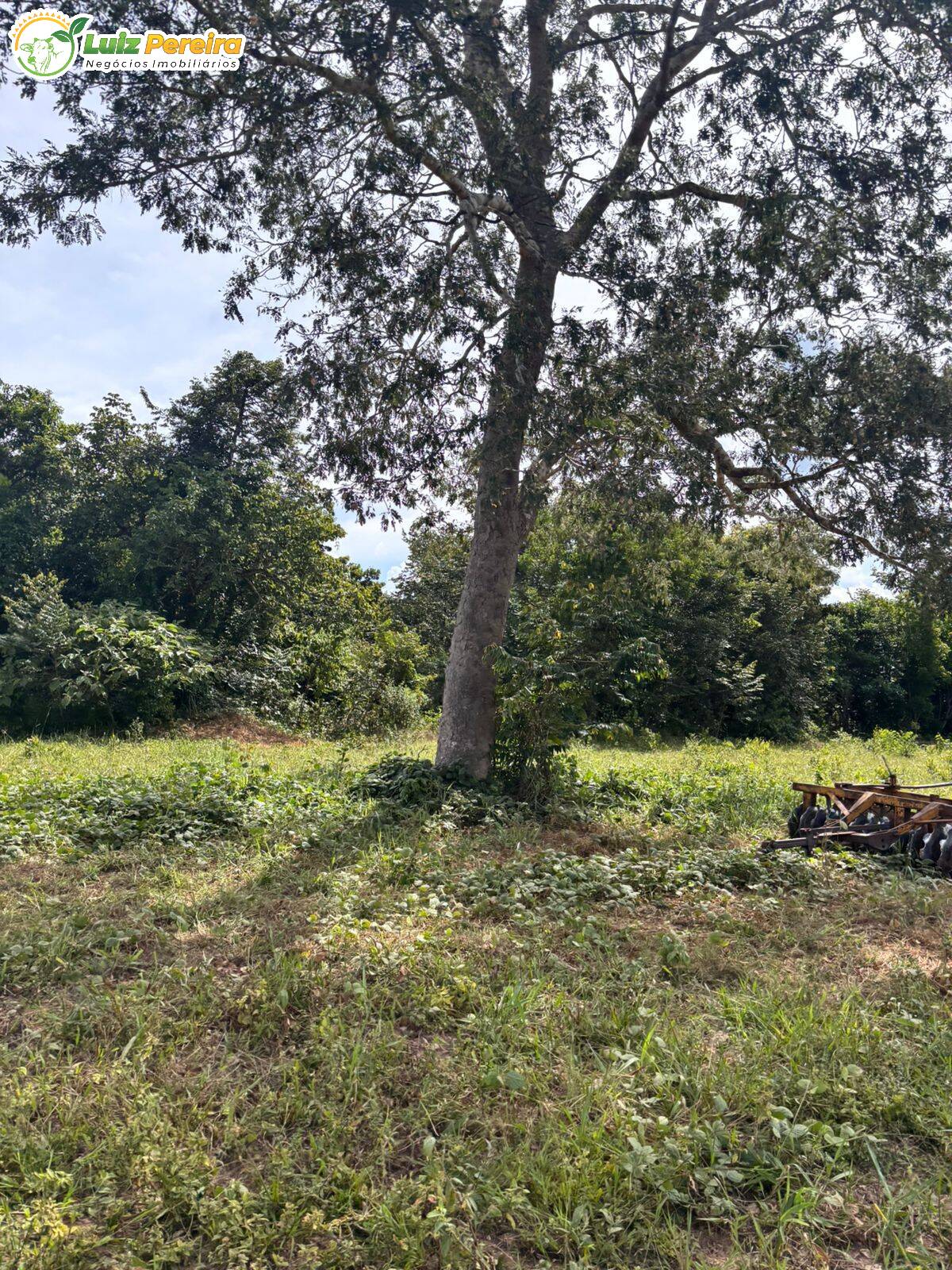 Terreno, 232 m² - Foto 3