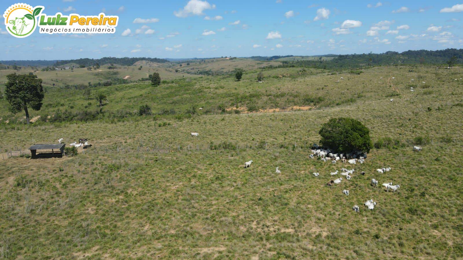 Terreno, 4162 m² - Foto 6
