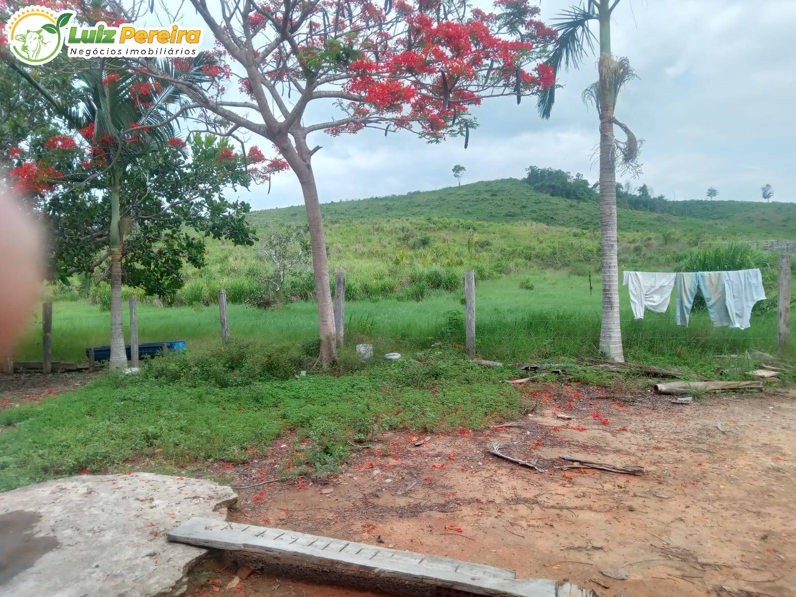 Terreno, 823 m² - Foto 10