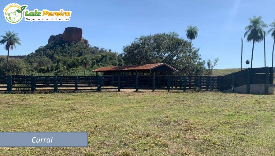 Terreno, 1170 m² - Foto 5