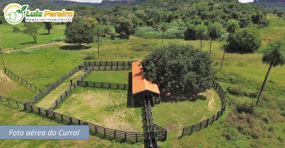 Terreno, 1170 m² - Foto 6