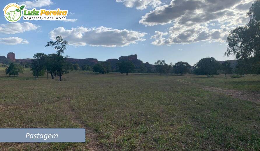 Terreno, 1170 m² - Foto 3