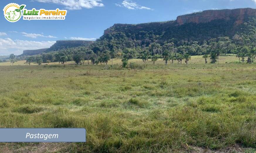 Terreno, 1170 m² - Foto 10