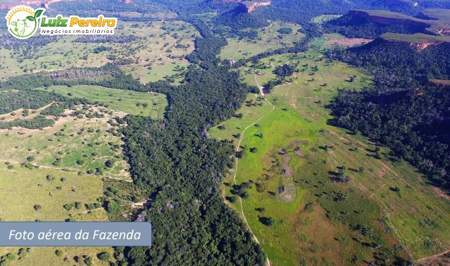 Terreno, 1170 m² - Foto 13