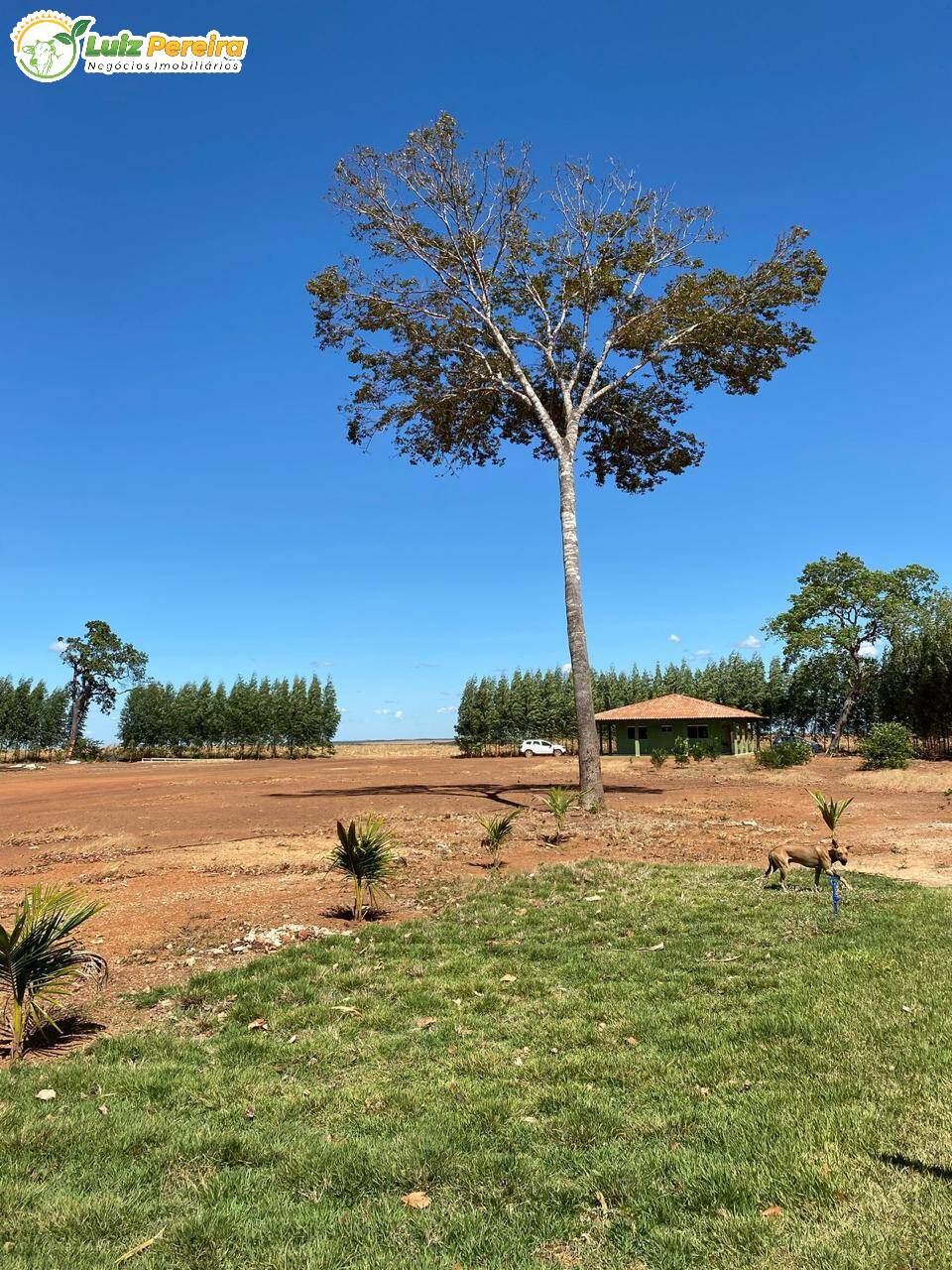 Terreno, 2180 m² - Foto 8