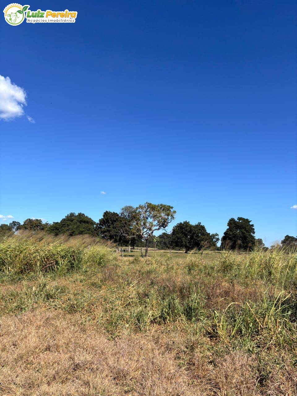 Terreno, 4300 m² - Foto 5